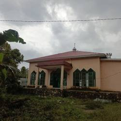 Menyiapkan Generasi Penjaga Al-Qur’an, PPTQ Wahdah Islamiyah Sinjai Borong Buka SPMB